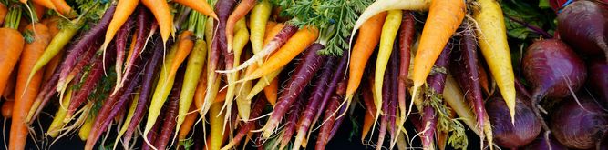 Bunte Karotten